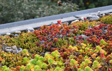 the cost of Whithebeir green roof installation