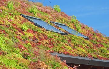 Whithebeir living roof systems