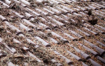 Whithebeir roof cleaning companies