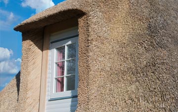 Whithebeir thatch roof disadvantages