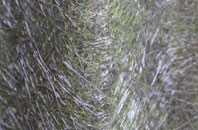 Whithebeir fibreglass roof work